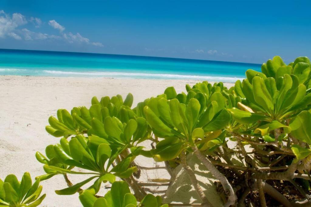 Ocean View Apartment, Best Beach Area, 3 Bedrooms كانكون المظهر الخارجي الصورة